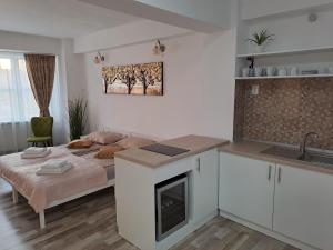 a small bedroom with a bed and a kitchen at 7 Levél Central Apartments in Miercurea-Ciuc