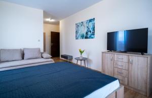 a bedroom with a bed and a flat screen tv at Ubytovanie Biely dom in Turčianske Teplice