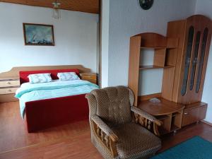 1 dormitorio con cama, silla y escritorio en Urban oasis in Cazin en Cazin