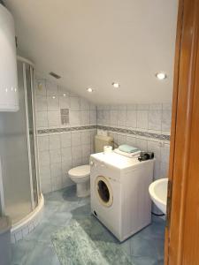 a bathroom with a washing machine and a toilet at Urban oasis in Cazin in Cazin
