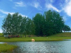 a fire hydrant sitting in the middle of a lake at Brzozowa Polana in Budry