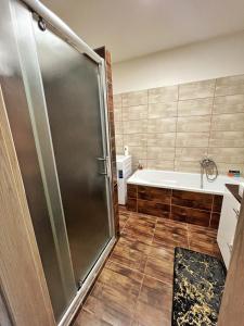 a bathroom with a shower and a tub at Ubytování Hrušky in Hrušky +35 photos