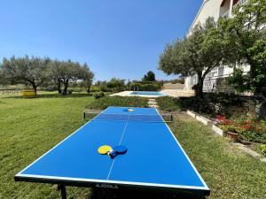 eine blaue Tischtennisplatte in der Mitte eines Gartens in der Unterkunft Bed&Breakfast Nada in Privlaka