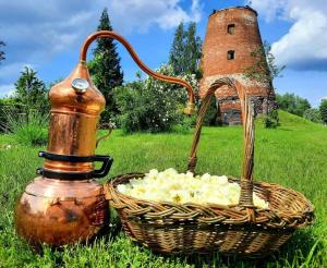 a basket of onions next to an old water mill at Sodyba Prie Malūno in Žagarė