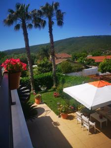 een balkon met palmbomen en een witte parasol bij Una fuga inaspettata in Castellabate