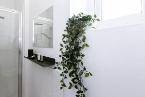 a plant hanging from a wall next to a door at Peaceful Apartment, Private Parking, Long Stay Prices, Close To Uni, Hosp, Centre in Exeter