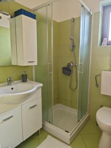 a bathroom with a shower and a sink and a toilet at Apartments Bevanda in Bale