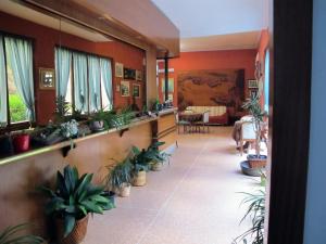 un couloir avec une bande de plantes en pot dans l'établissement Hotel Capo Noli, à Noli