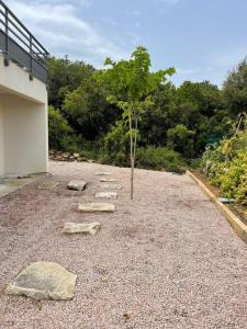 Zahrada ubytování Villa luxe avec piscine et belle vue mer