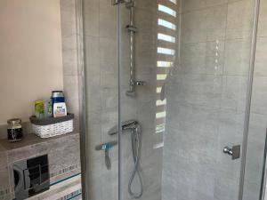 a shower with a glass door in a bathroom at Apartament z ogrodem Harcerska 4 in Zamość +33 photos