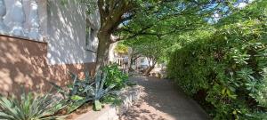 Ein Garten an der Unterkunft Villa HAUS NIKO