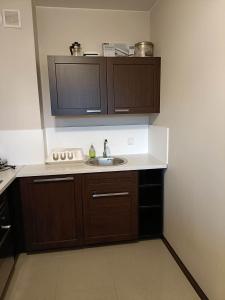 a kitchen with a sink and wooden cabinets at Apartament Paderewskiego 1 in Zielonka