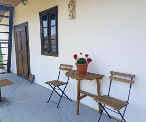 un tavolo con due sedie e una pianta in vaso di Két Kerék Vendégház a Patvarc