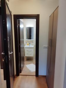 een badkamer met een wastafel en een spiegel bij Šarm studio 101 in Zlatibor
