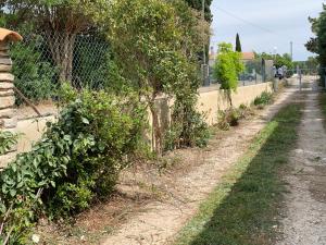 un chemin de terre avec des buissons à côté d'une clôture dans l'établissement Gîtes dans les alpilles, à Mouriès