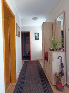 Pokój z korytarzem z drzwiami i dywanem w obiekcie Holiday in the National park Lovcen w mieście Cetynia