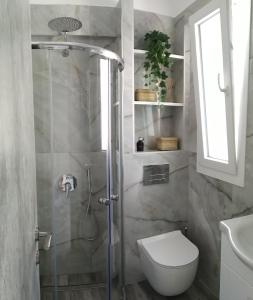 a bathroom with a shower with a toilet and a sink at Luxurious Maisonettes Nina & Tomas in Sivota in Sivota