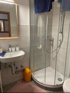 y baño con ducha y lavamanos. en Ferienwohnung Tannhäuser, en Braunlage