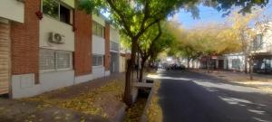 un árbol al lado de una calle al lado de un edificio en Pellegrini Departamentos muy confortable y bien ubicado en Godoy Cruz