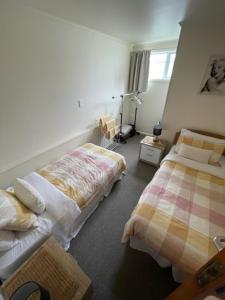 a bedroom with two beds and a couch in it at Westland Apartment in Dunedin