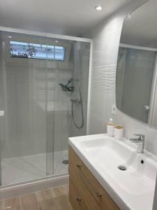 baño blanco con ducha y lavamanos en Maison studio Le bois fleuri, en Croissy-Beaubourg