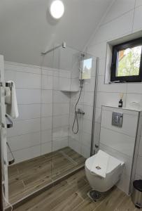 a bathroom with a shower and a toilet at Villa Montana Zaovine in Bajina Bašta