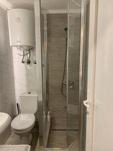 a bathroom with a shower with a toilet and a sink at LUX BANOVO BRDO apartman in Belgrade +6 photos
