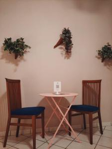 uma mesa e duas cadeiras com plantas na parede em I capricci dell'Etna 2 di Puglisi em Mascalucia
