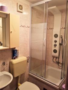 a bathroom with a shower and a toilet and a sink at Apartment Noemi in Medulin