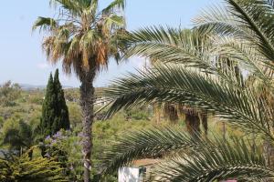 Ogród w obiekcie New view Sotogrande Marina - Jungla del Loro