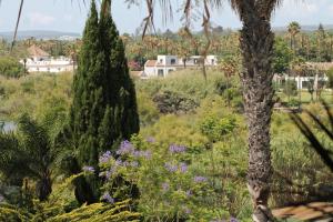 Ogród w obiekcie New view Sotogrande Marina - Jungla del Loro