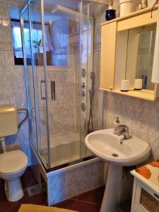bagno con doccia, lavandino e servizi igienici di Apartment Noemi a Medulin
