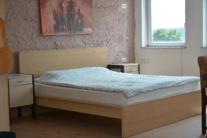 Schlafzimmer mit einem Bett und einem Fenster in der Unterkunft Studio in Wehingen in Mettlach