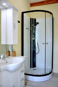 a bathroom with a shower with a sink and a mirror at Studio in Wehingen in Mettlach