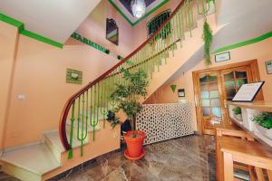 a hallway with stairs and potted plants at Charming Nerja Hostel in Nerja