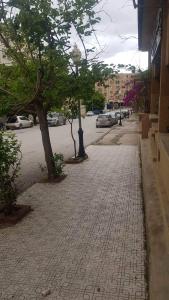 una strada di ciottoli con un albero e auto parcheggiate di Très belle appartement a Qusanṭīna (Costantina)
