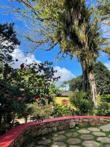 Κήπος έξω από το Cedros Pousada