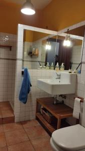 y baño con lavabo, aseo y espejo. en La casa del fresno, en Pinilla del Valle