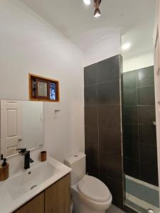 a bathroom with a toilet and a sink and a shower at Cabañas Nonito in Pozo Almonte