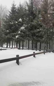 une clôture recouverte de neige à côté de certains arbres dans l'établissement Appartamento ampio giardino adiacente piste sci 4/6 posti letto, à La Thuile