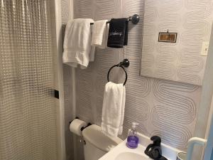 a bathroom with a toilet and a sink and towels at Boho-Chic Studio - Unit 1 in Bloomington