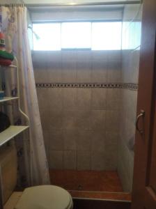 a bathroom with a toilet and a shower at Jack Appart (departamento 2 cuartos y terraza) in Arequipa +13 photos