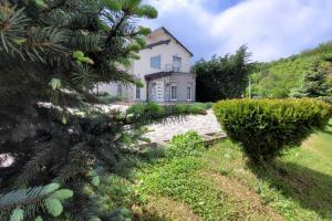 a house with a christmas tree in front of it at Amazing Villa with pool nearby Shtime - Ferizaj in Ferizaj