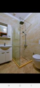 a bathroom with a shower and a toilet and a sink at Apartments Hillside in Ulcinj