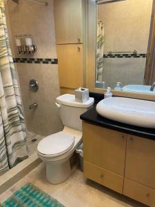 a bathroom with a toilet and a sink at Beach Front Condo in Isla Verde! in San Juan +37 photos