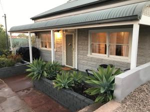una casa con plantas delante de ella en HILLSIDE HAVEN CHARMING C1920 COTTAGE Pet Friendly Sleeps 1 - 6 en Broken Hill