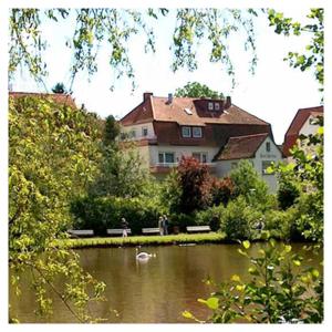 un cigno che nuota in un lago di fronte a una casa di Haus am See a Horn-Bad Meinberg