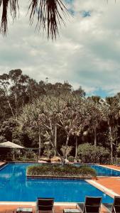 a swimming pool with chairs and palm trees at Beachside Resort Lagoon Rooms with Garden Patio in Coffs Harbour