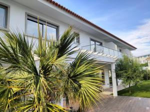 Biały dom z palmami przed nim w obiekcie Embaixada da Vila w mieście Cascais