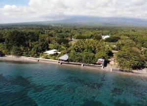 Зображення з фотогалереї помешкання Treehouse Front Beach Bacong у місті Bacong